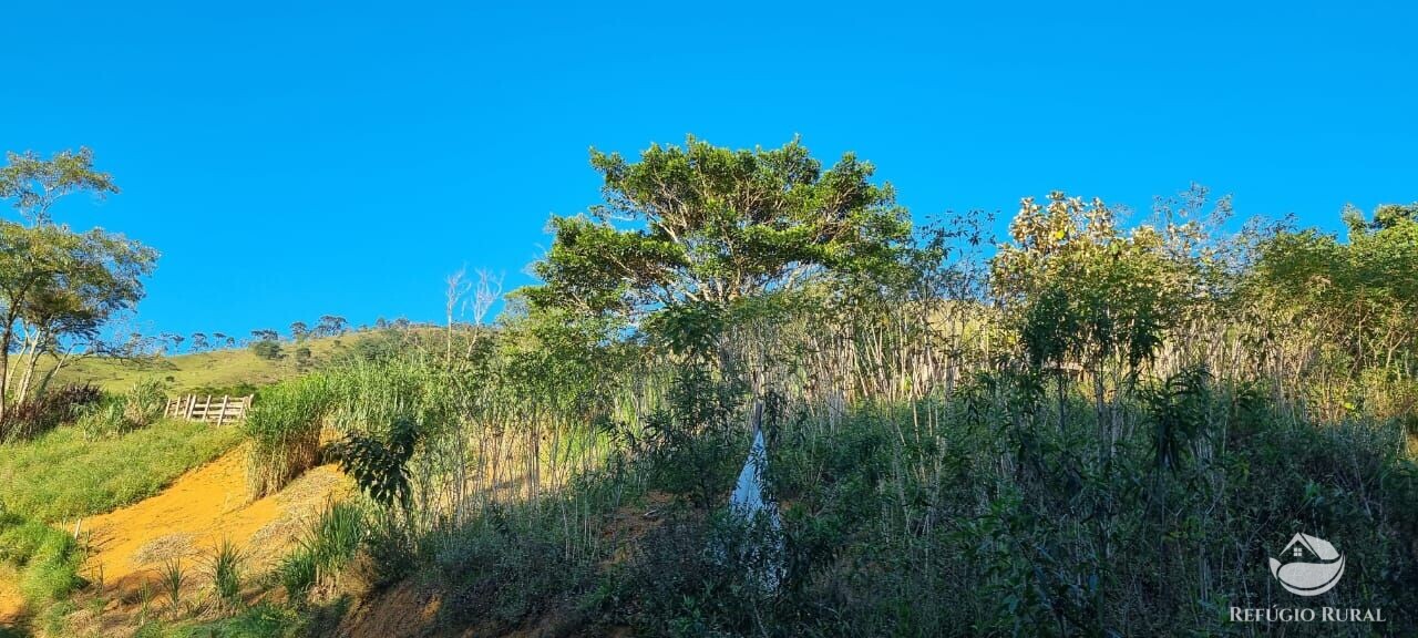 Fazenda à venda com 2 quartos, 217800m² - Foto 33