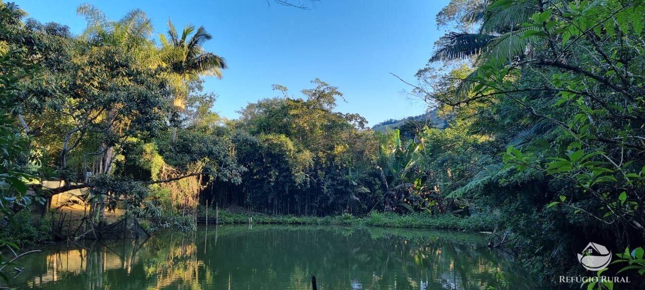 Fazenda à venda com 2 quartos, 217800m² - Foto 42