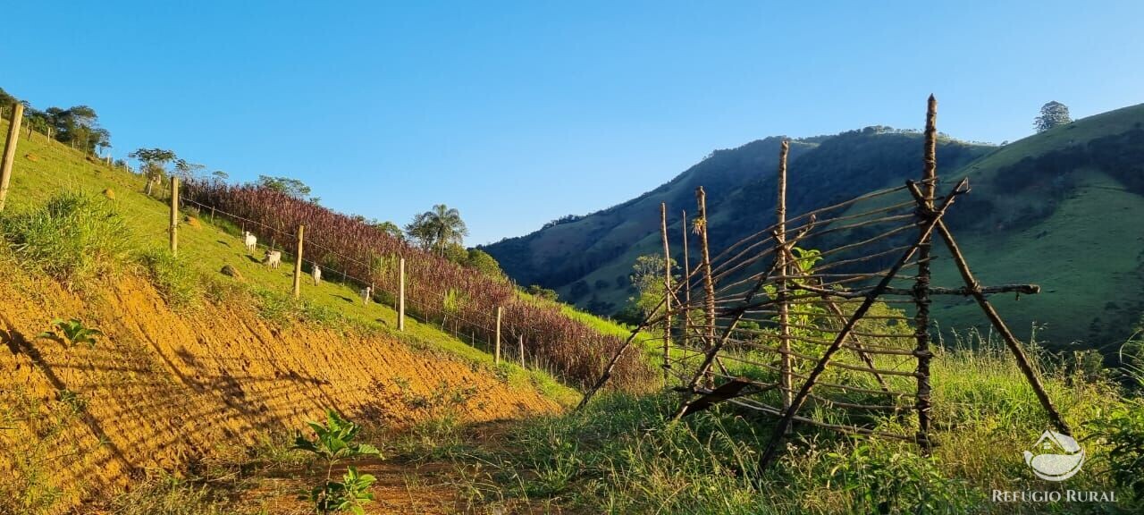 Fazenda à venda com 2 quartos, 217800m² - Foto 11