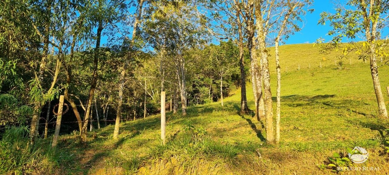 Fazenda à venda com 2 quartos, 217800m² - Foto 2