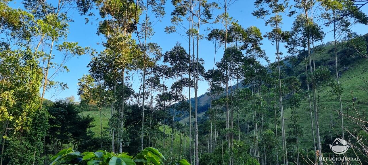 Fazenda à venda com 2 quartos, 217800m² - Foto 40