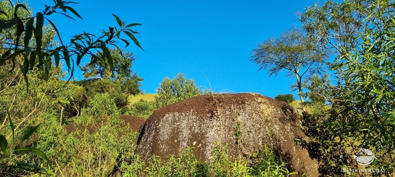 Fazenda à venda com 2 quartos, 217800m² - Foto 19