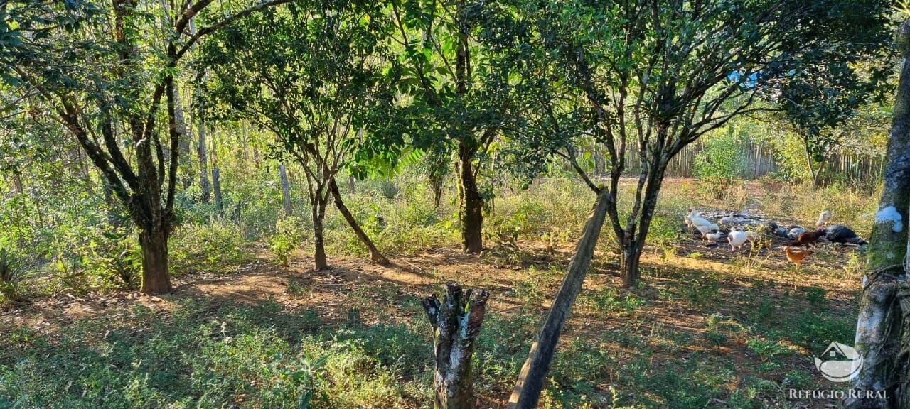 Fazenda à venda com 2 quartos, 217800m² - Foto 47