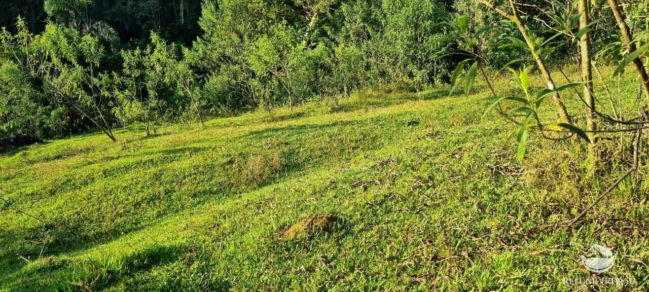 Fazenda à venda com 2 quartos, 217800m² - Foto 16