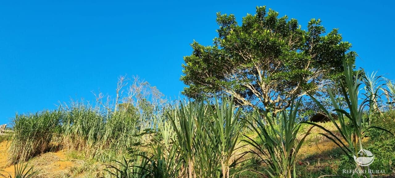 Fazenda à venda com 2 quartos, 217800m² - Foto 32