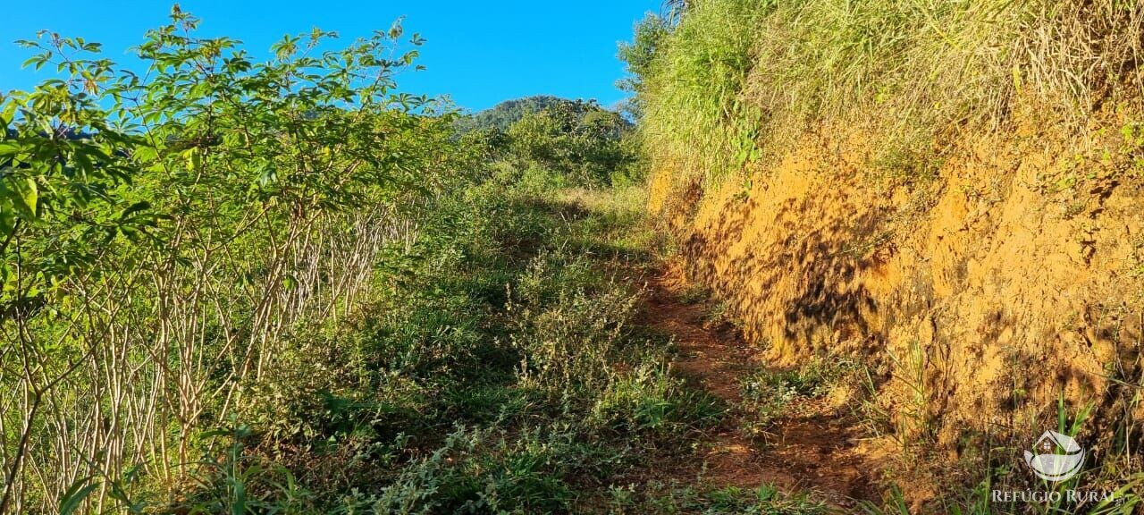 Fazenda à venda com 2 quartos, 217800m² - Foto 31