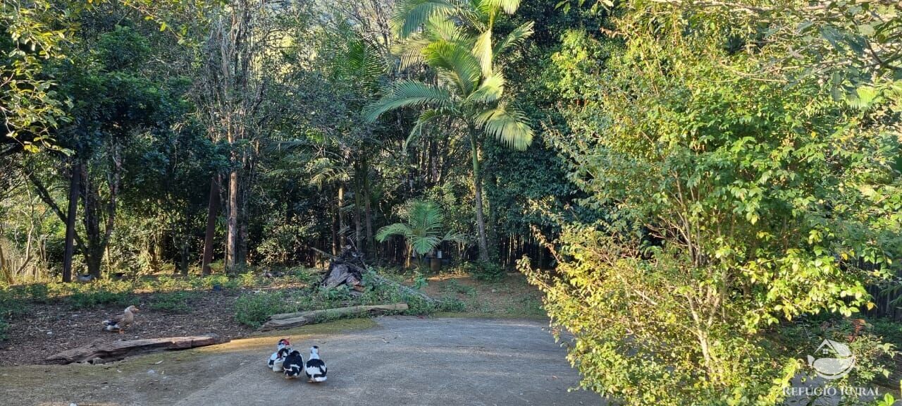 Fazenda à venda com 2 quartos, 217800m² - Foto 50