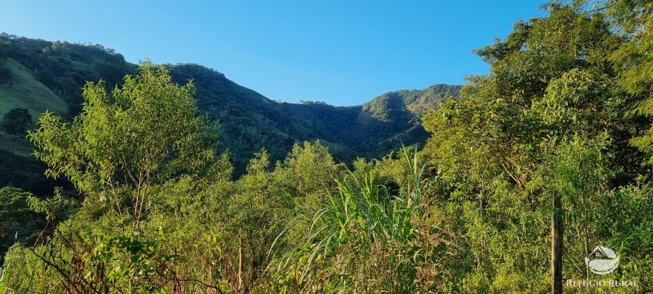 Fazenda à venda com 2 quartos, 217800m² - Foto 9