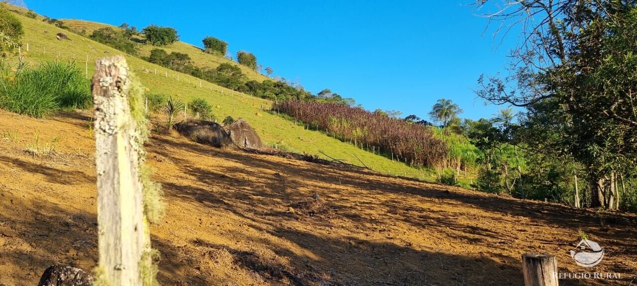 Fazenda à venda com 2 quartos, 217800m² - Foto 21