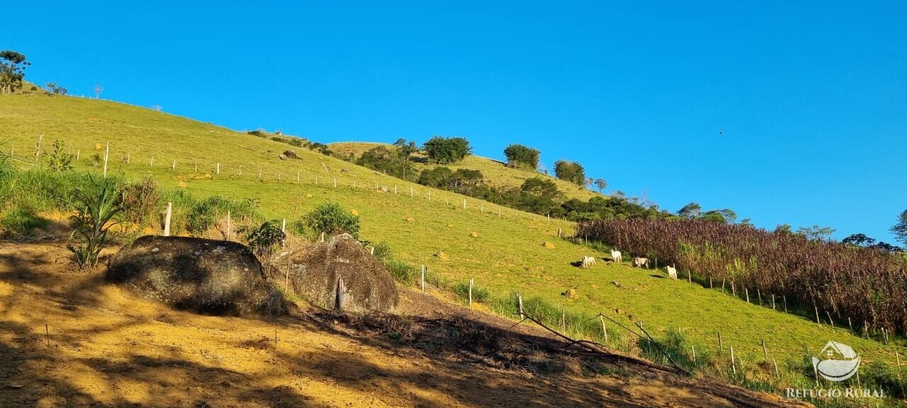 Fazenda à venda com 2 quartos, 217800m² - Foto 1