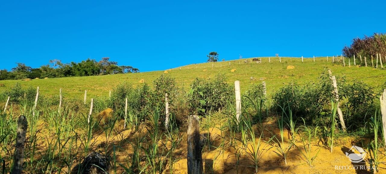 Fazenda à venda com 2 quartos, 217800m² - Foto 29