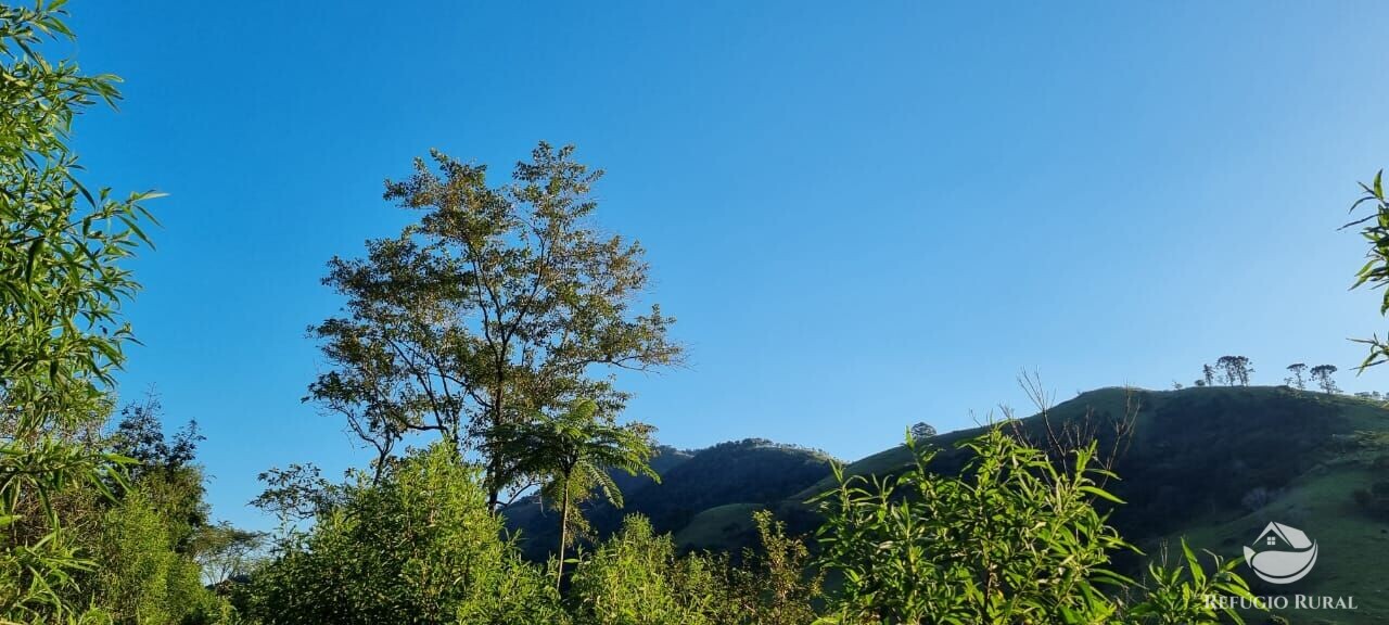 Fazenda à venda com 2 quartos, 217800m² - Foto 15