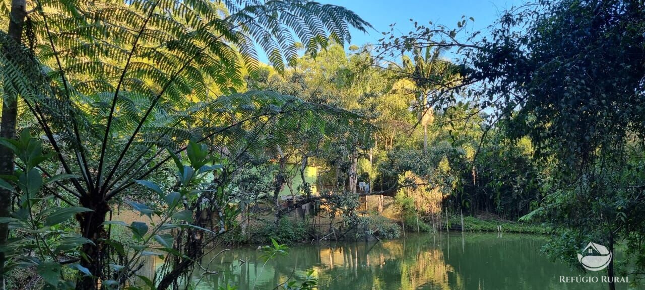 Fazenda à venda com 2 quartos, 217800m² - Foto 3