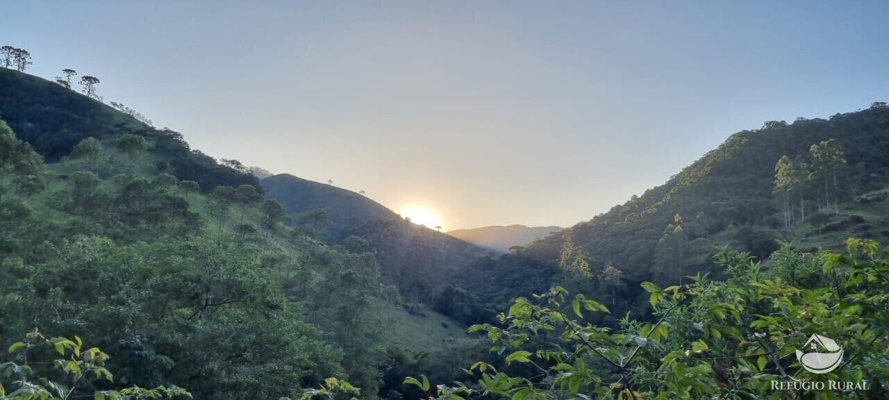 Fazenda à venda com 2 quartos, 217800m² - Foto 5