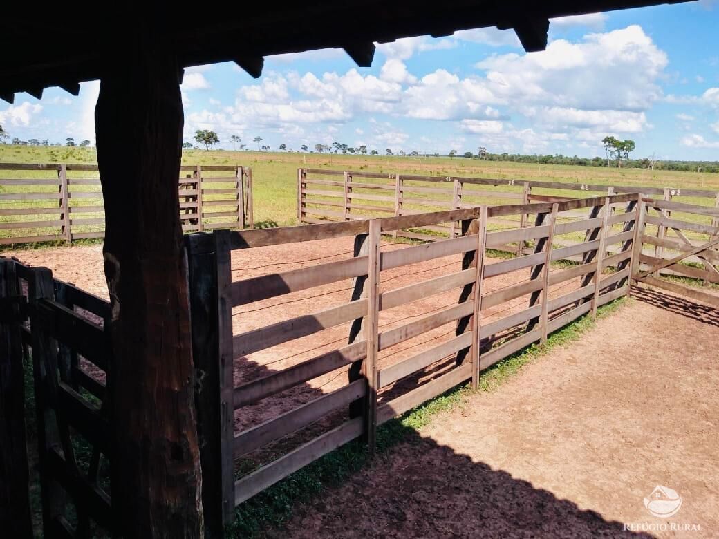 Fazenda à venda com 3 quartos, 7650000m² - Foto 3