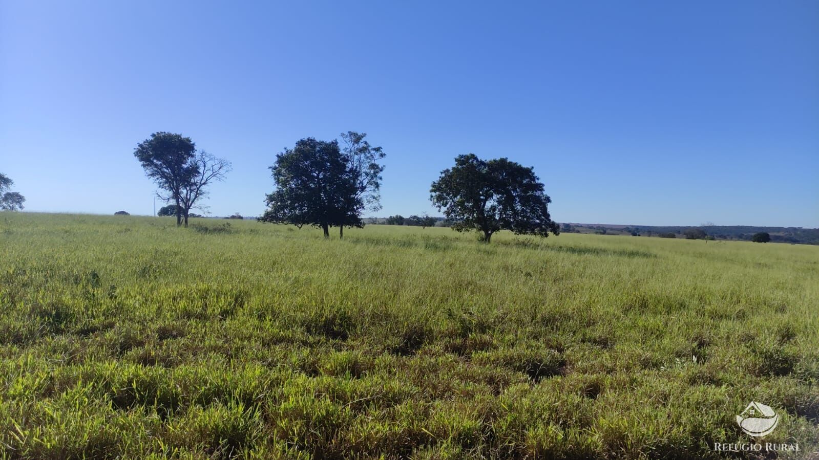 Fazenda à venda com 3 quartos, 7650000m² - Foto 6