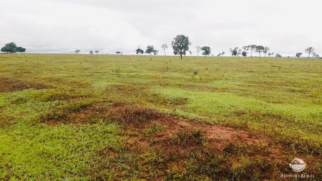 Fazenda à venda com 3 quartos, 7650000m² - Foto 4