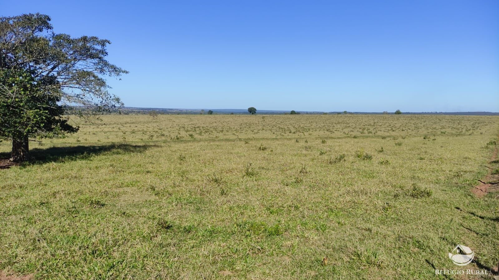 Fazenda à venda com 3 quartos, 7650000m² - Foto 7