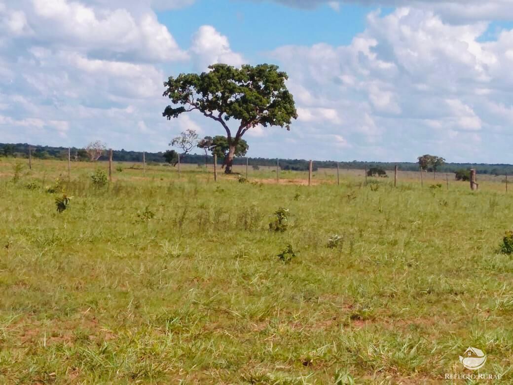 Fazenda à venda com 3 quartos, 7650000m² - Foto 5