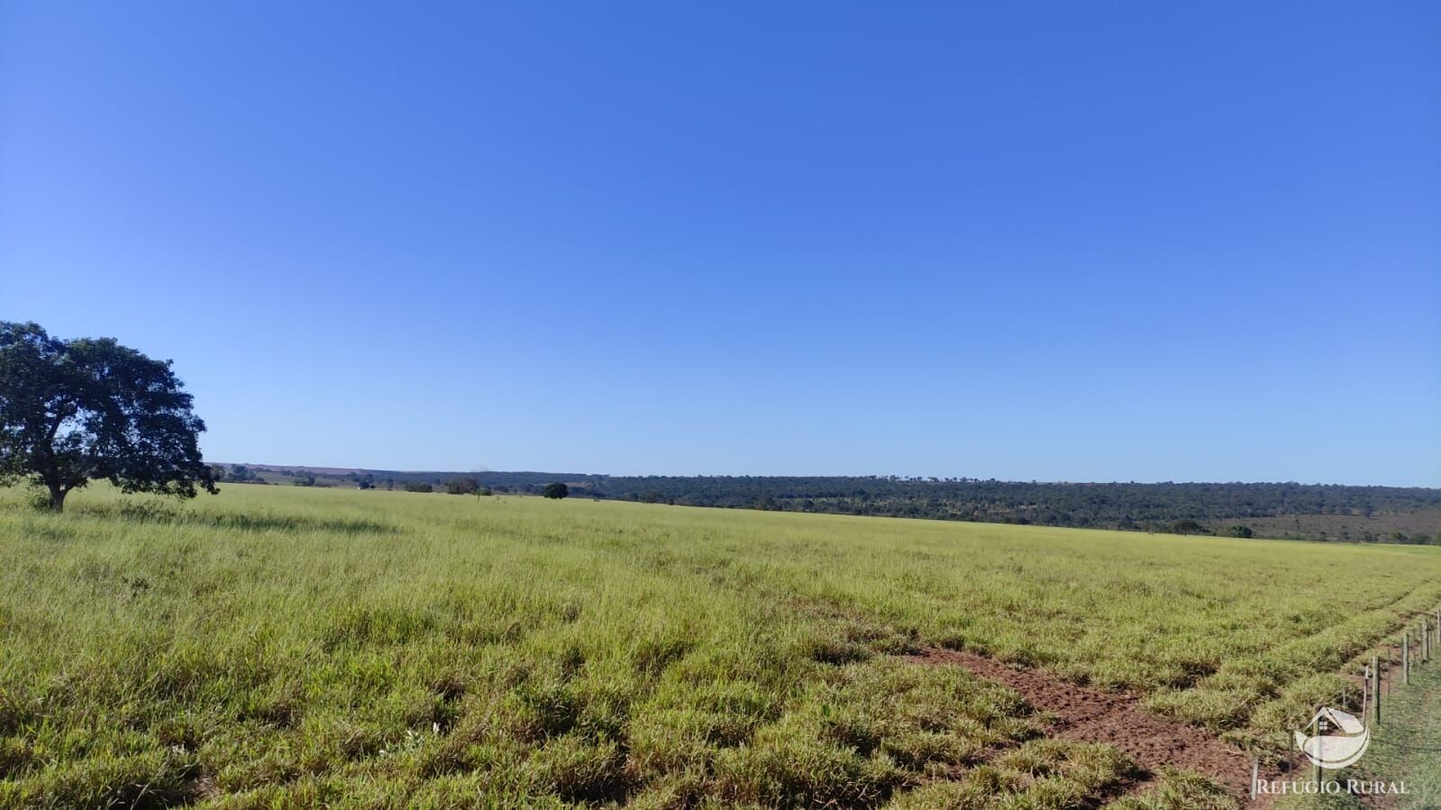 Fazenda à venda com 3 quartos, 7650000m² - Foto 1