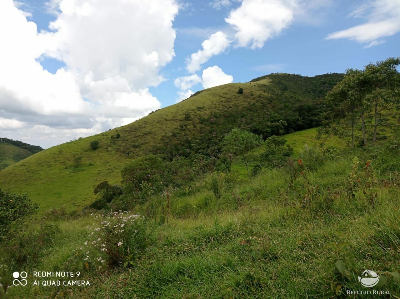 Fazenda à venda, 96800m² - Foto 3