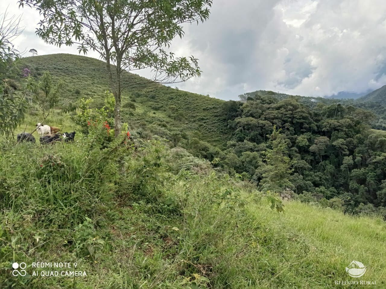 Fazenda à venda, 96800m² - Foto 5