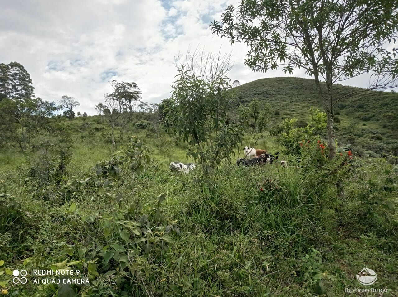 Fazenda à venda, 96800m² - Foto 11