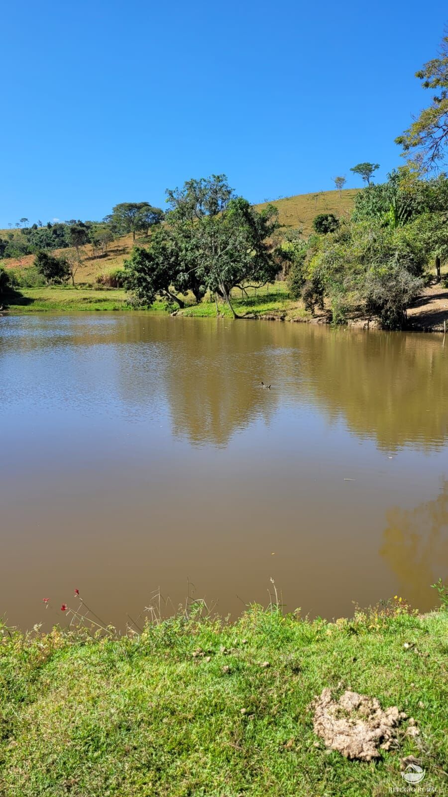 Fazenda à venda com 7 quartos, 3242799m² - Foto 4