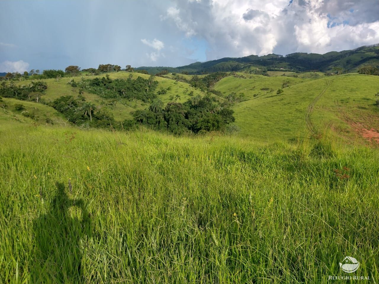 Fazenda à venda com 7 quartos, 3242799m² - Foto 7