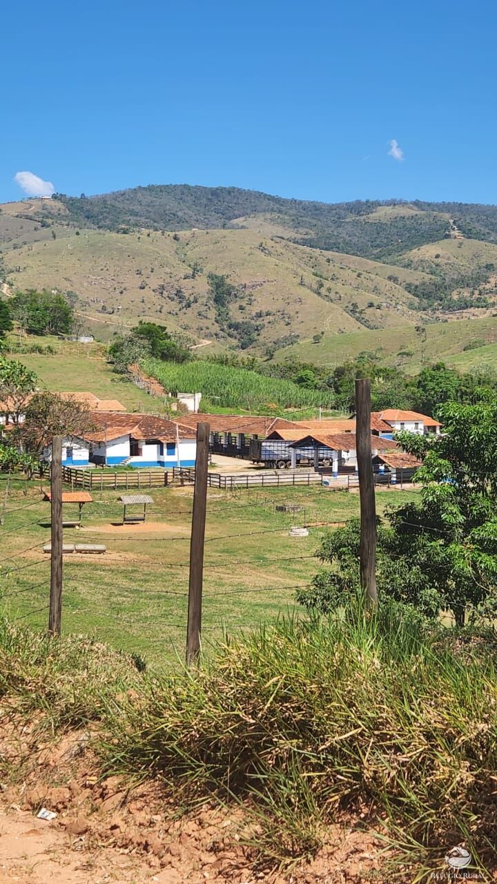 Fazenda à venda com 7 quartos, 3242799m² - Foto 3