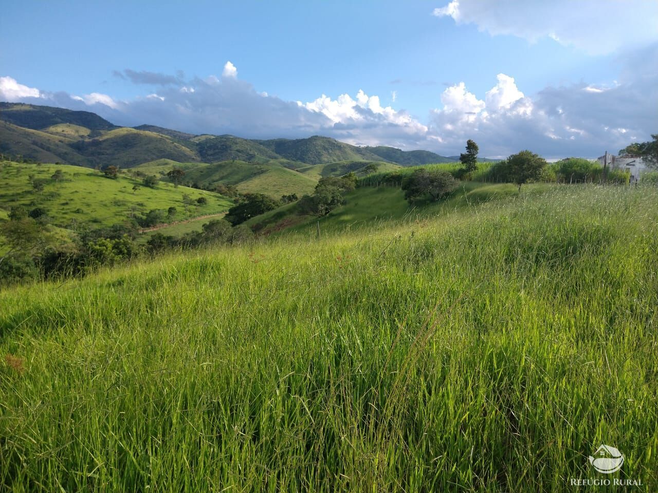 Fazenda à venda com 7 quartos, 3242799m² - Foto 5