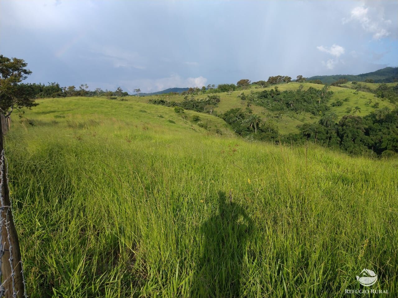 Fazenda à venda com 7 quartos, 3242799m² - Foto 6