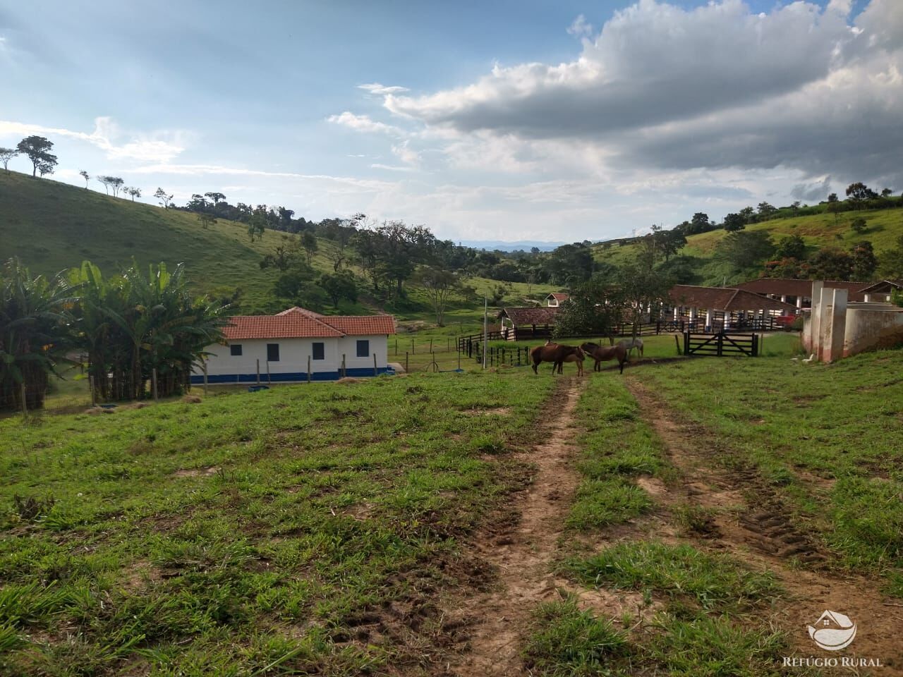 Fazenda à venda com 7 quartos, 3242799m² - Foto 8