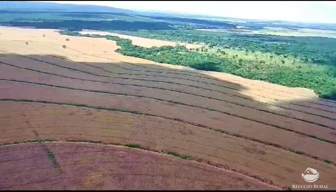 Fazenda, 755 hectares - Foto 12