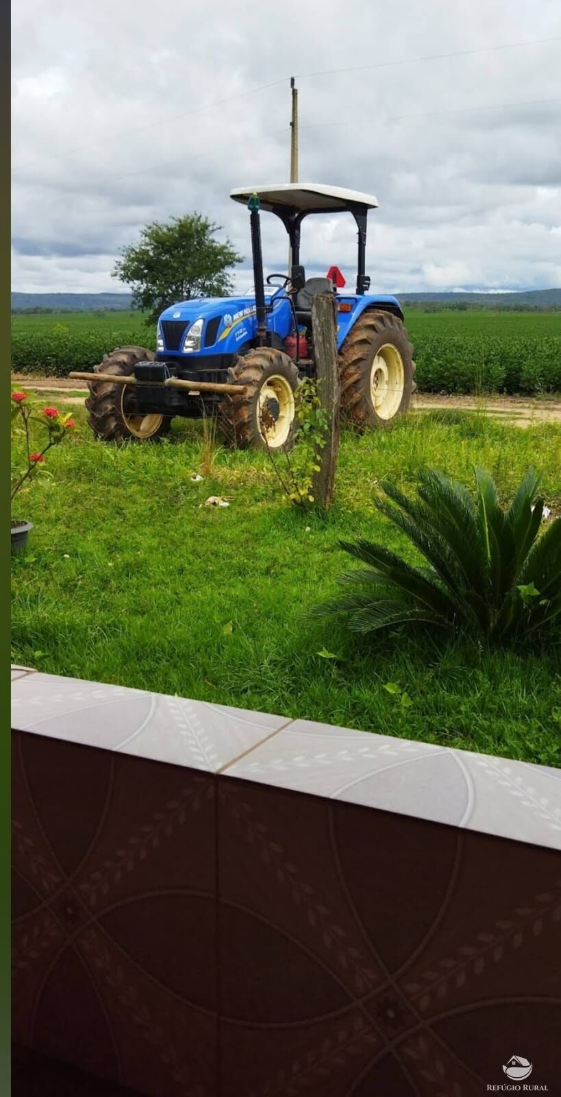 Fazenda, 755 hectares - Foto 7