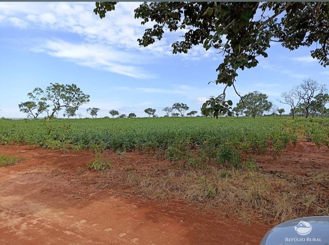 Fazenda, 755 hectares - Foto 13