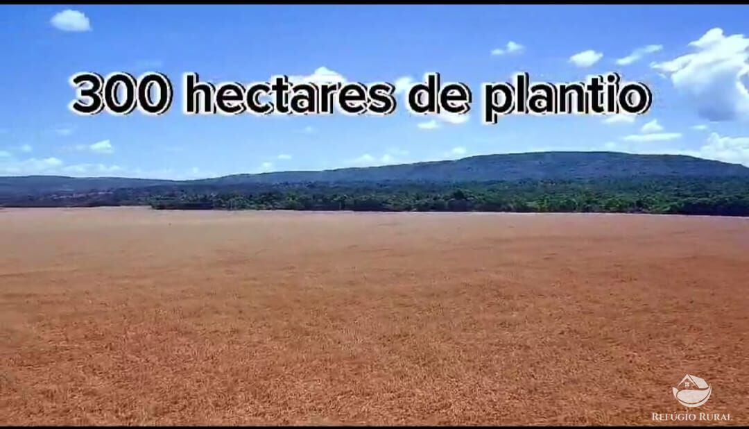 Fazenda, 755 hectares - Foto 5