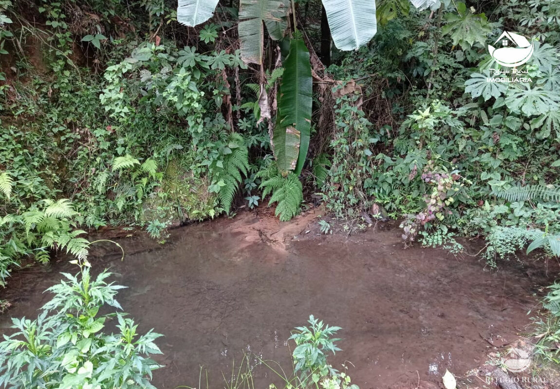 Fazenda à venda com 2 quartos, 1064800m² - Foto 8