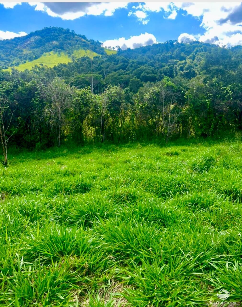Terreno à venda, 300m² - Foto 2
