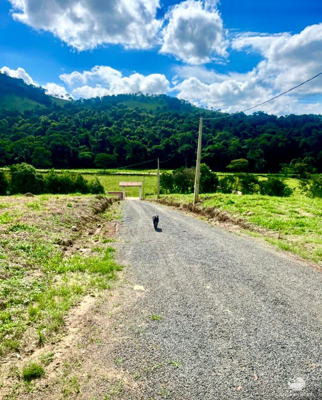 Terreno à venda, 300m² - Foto 5