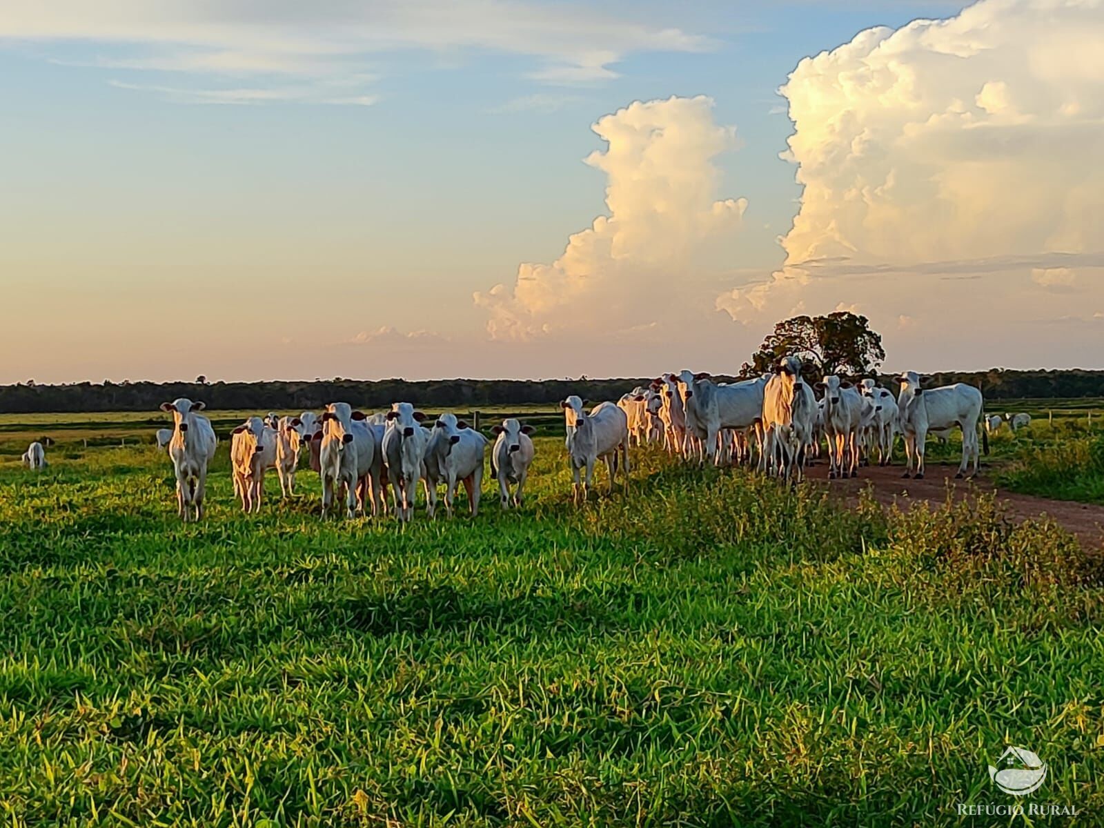 Fazenda à venda com 2 quartos, 73000000m² - Foto 2