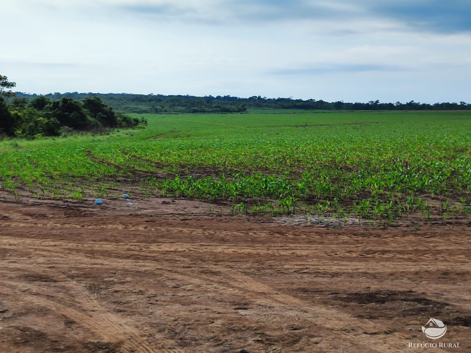 Fazenda à venda com 2 quartos, 73000000m² - Foto 14