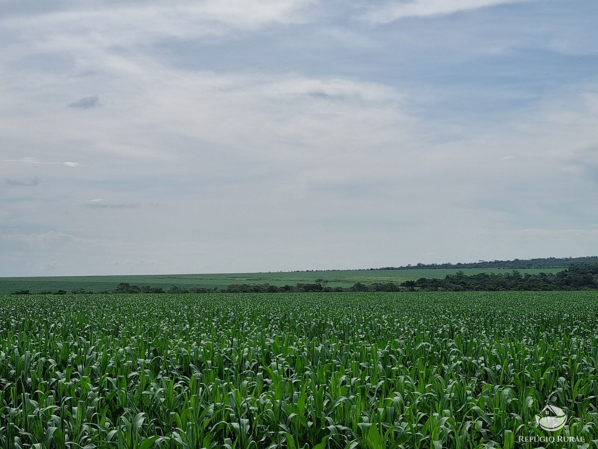 Fazenda à venda com 2 quartos, 73000000m² - Foto 4