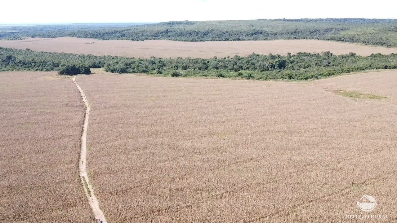 Fazenda à venda com 2 quartos, 73000000m² - Foto 7