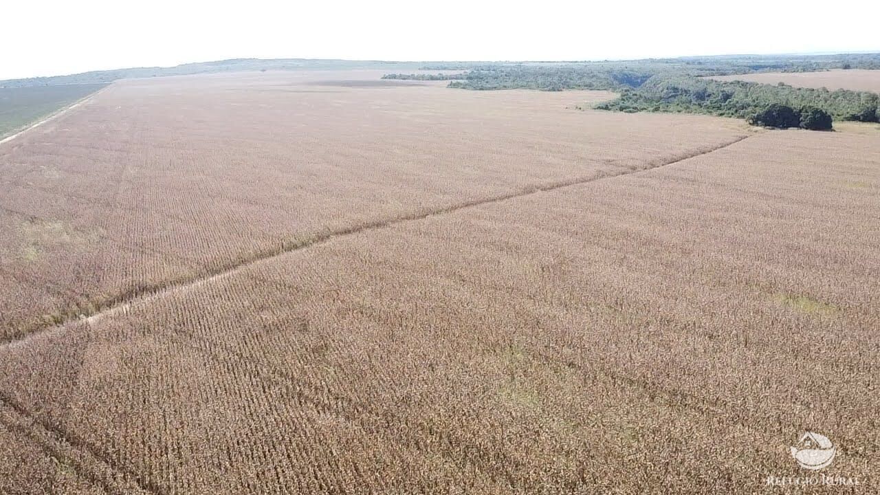 Fazenda à venda com 2 quartos, 73000000m² - Foto 9