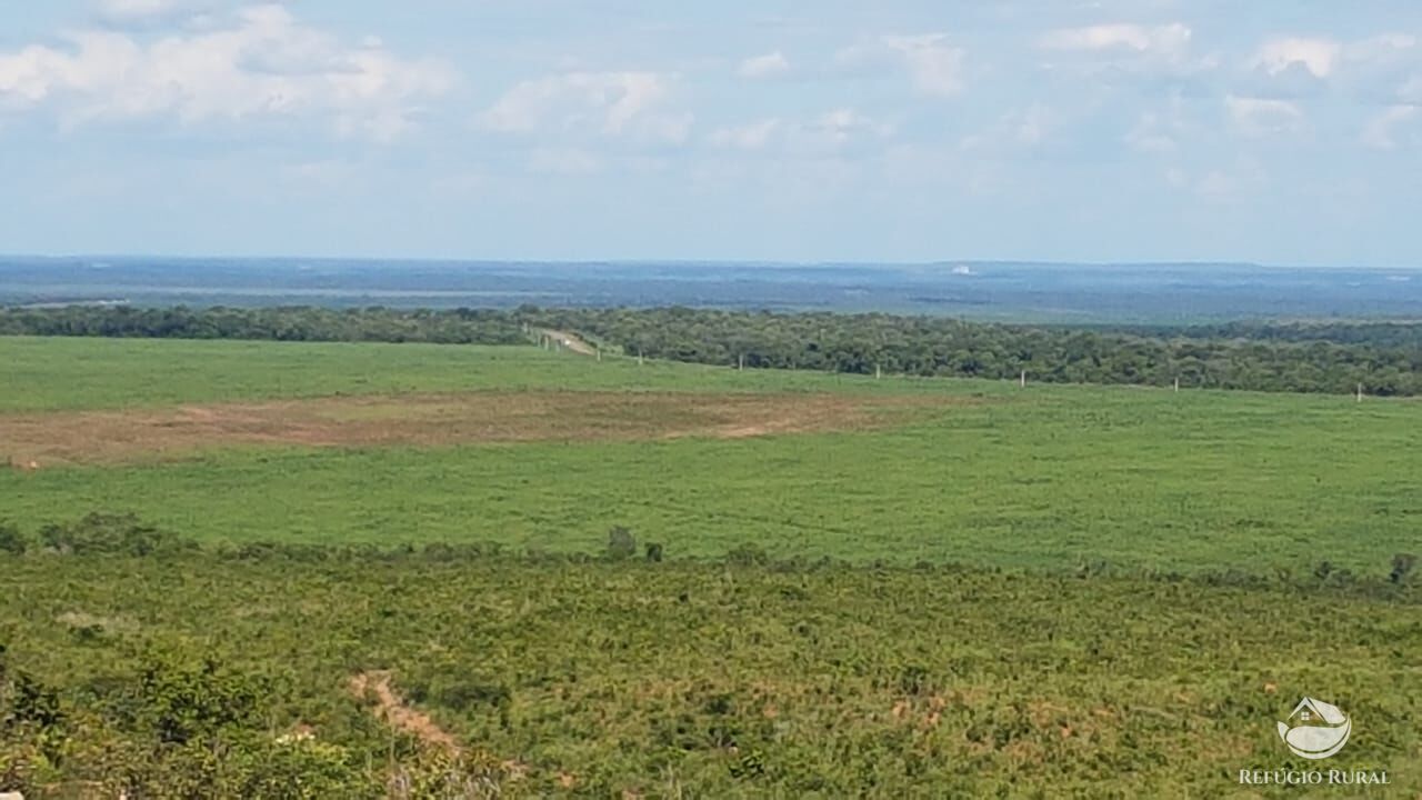 Fazenda à venda com 2 quartos, 73000000m² - Foto 22