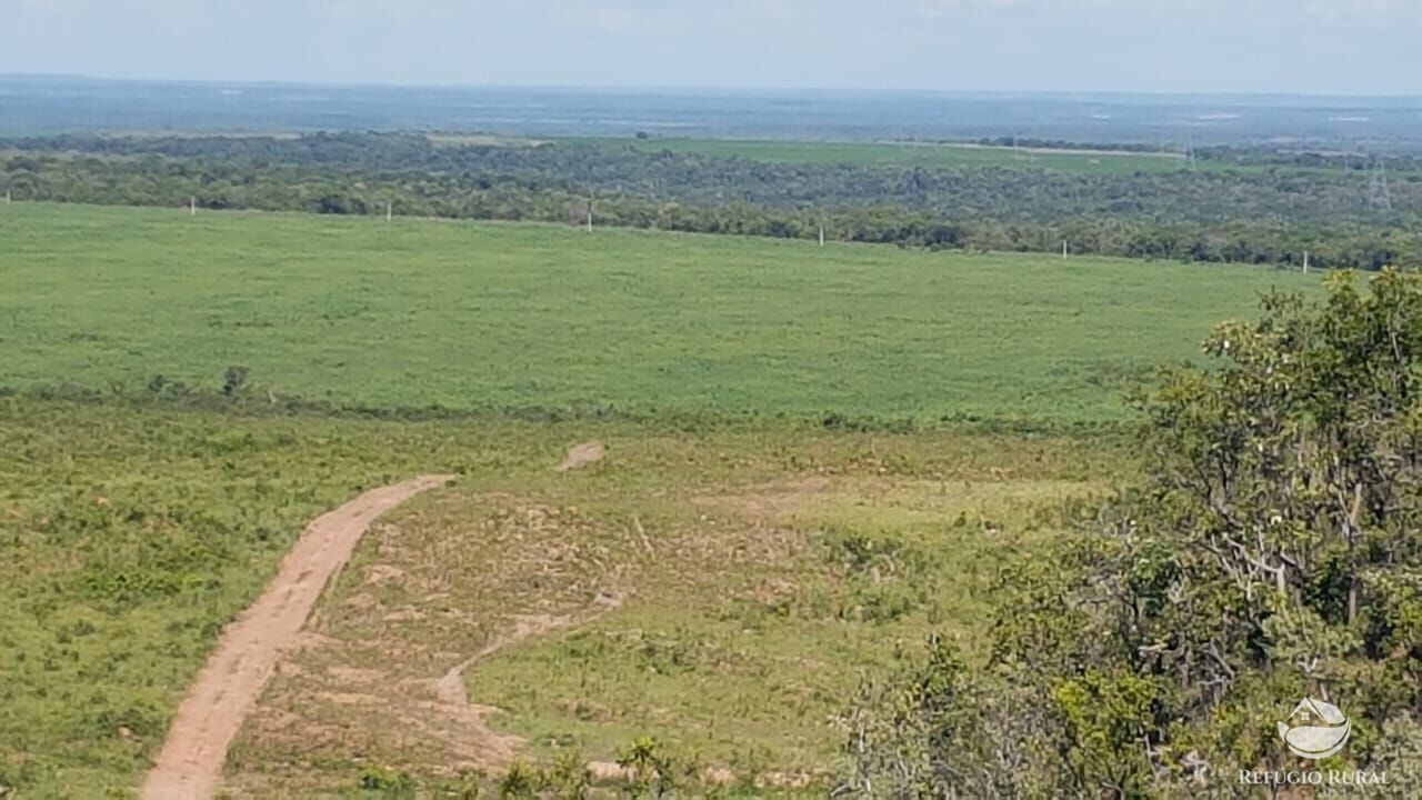 Fazenda à venda com 2 quartos, 73000000m² - Foto 23