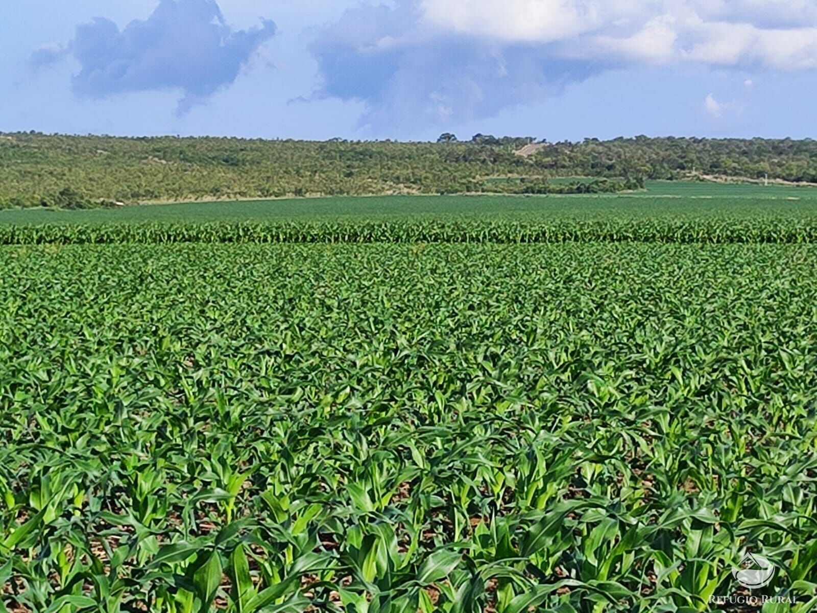 Fazenda à venda com 2 quartos, 73000000m² - Foto 20