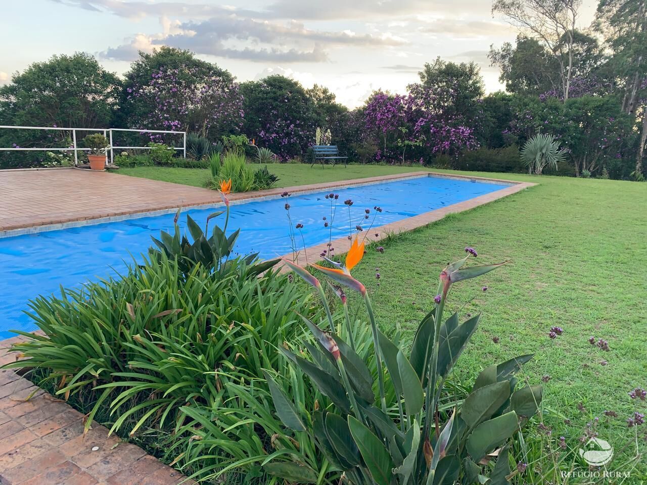 Chácara, 6 quartos, 5 hectares - Foto 5