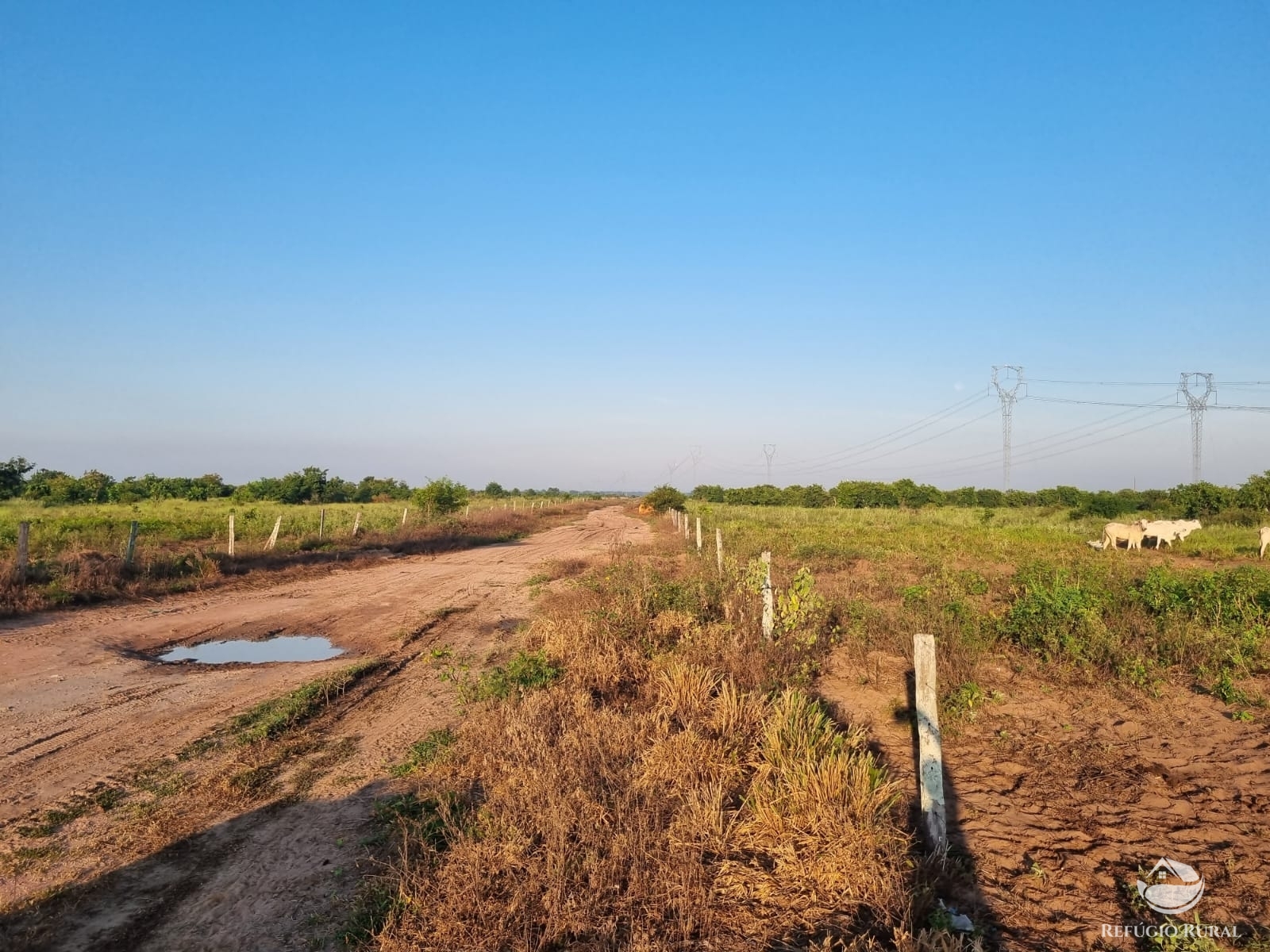 Fazenda à venda com 1 quarto, 60500000m² - Foto 3